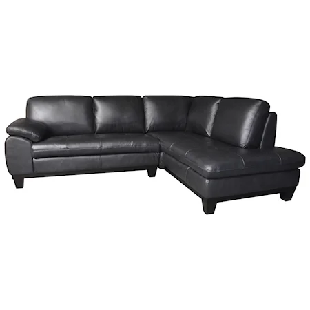 Two Piece Sectional Sofa with RAF Chaise